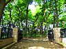 周辺：区立三井の森公園