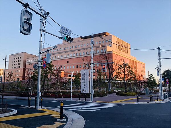 フォンテ　クレラ ｜東京都足立区扇２丁目(賃貸マンション1LDK・2階・35.17㎡)の写真 その19