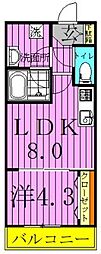 NEOグレイス綾瀬 5階
