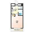 ビジタル丸山通52階5.8万円