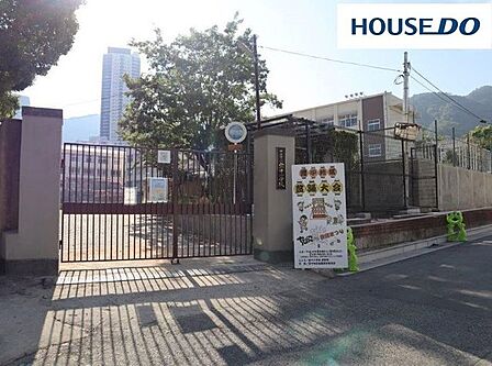神戸市立雲中小学校 732m。2015年「キャリア教育優良校」として文部科学大臣から表彰を受けた小学校。教育目標「こころ豊かに たくましく ともに生きる子を育てる」。