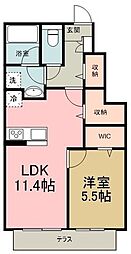 ステラコート 1LDKの間取図画像