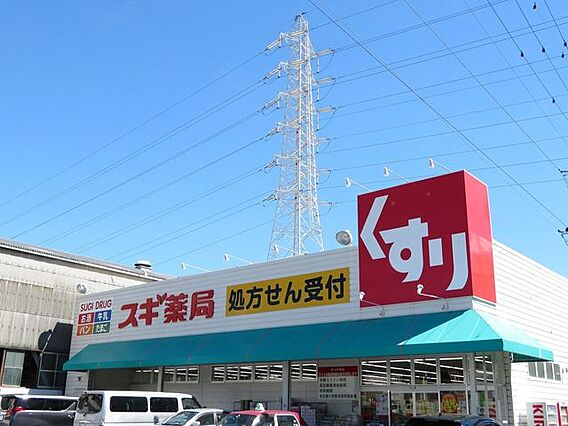 スギドラッグ砂...