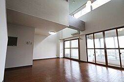 ベルヴィー・カワカミ 4-D