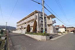 メゾンスプリング