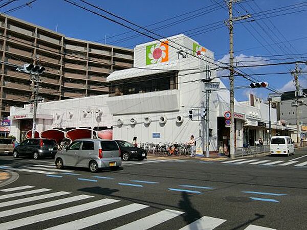 グレース中百舌鳥 102｜大阪府堺市北区百舌鳥梅町3丁(賃貸マンション2DK・1階・44.53㎡)の写真 その28