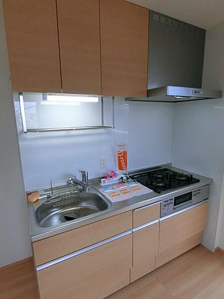 villa　SHO 101｜大阪府堺市堺区南半町東2丁(賃貸アパート1LDK・1階・41.67㎡)の写真 その4