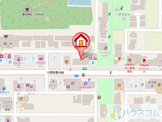地図