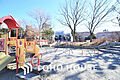 戸部公園　距離...