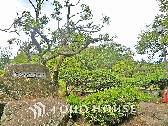 大倉山公園　距...