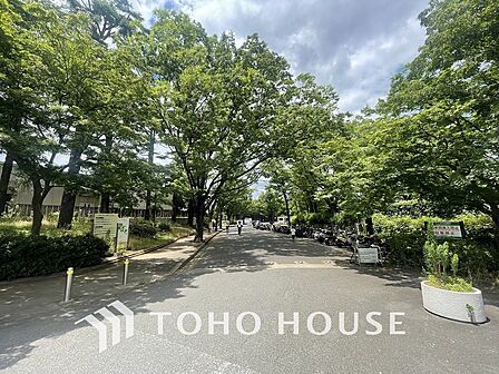 駒沢オリンピック公園 距離550m