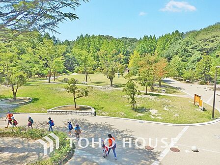 生田緑地 距離350m