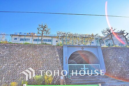 世田谷区立砧小学校 距離1500m
