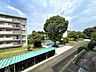 その他：緑豊かな住環境♪
