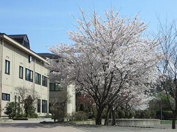 ステイツコア埋橋 202｜長野県松本市埋橋１丁目(賃貸マンション1DK・2階・34.82㎡)の写真 その19