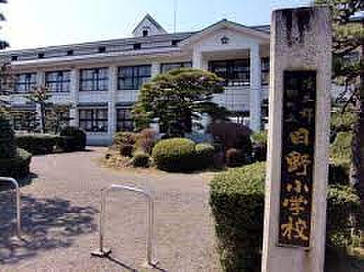画像16:日野町立日野小学校（691m）