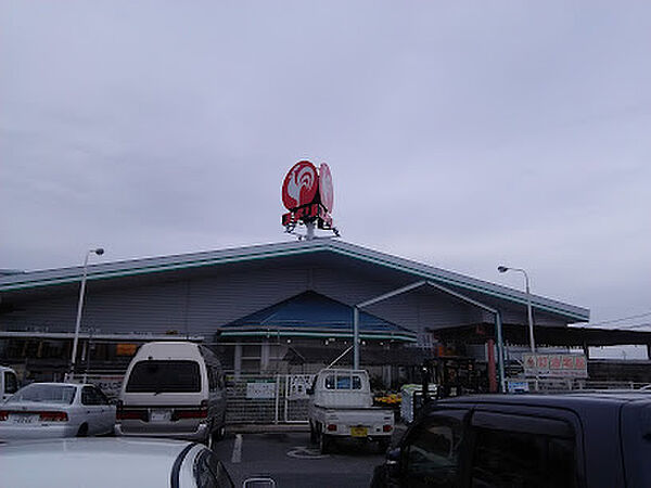 画像23:コメリハード＆グリーン彦根稲枝店（589m）