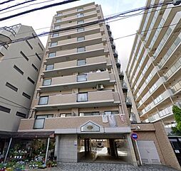 ベルドゥムール草加