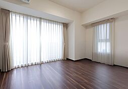 ユニハイム中之島堂島川タワーレジデンス 1SLDKの写真