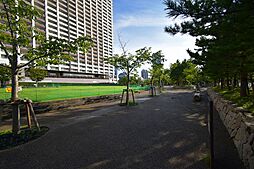 さくらの森