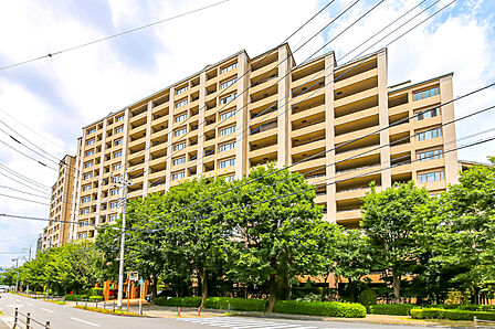 総戸数317戸（住戸313戸、集会室1戸、管理事務室1戸、店舗2戸）