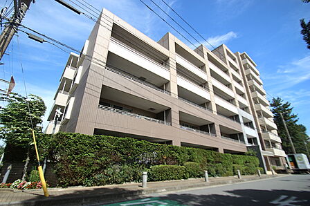 北側から撮影