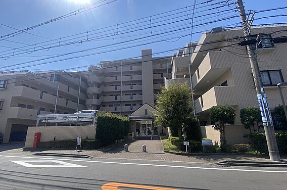 1993年3月...