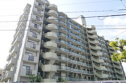 ステイツ野村向洋