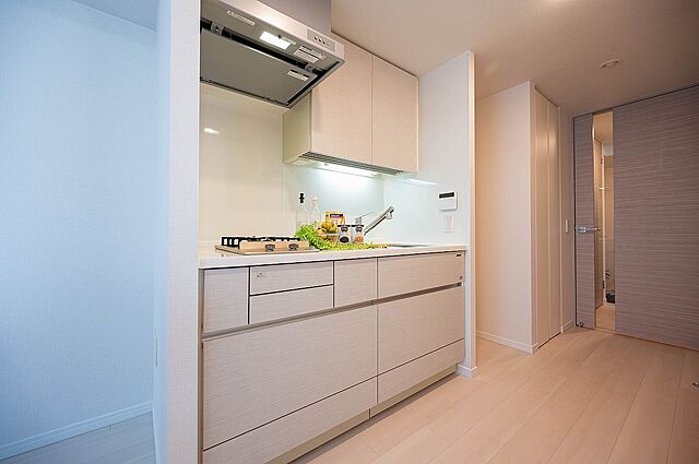 キッチン ライオンズ千代田三崎町 13階/-