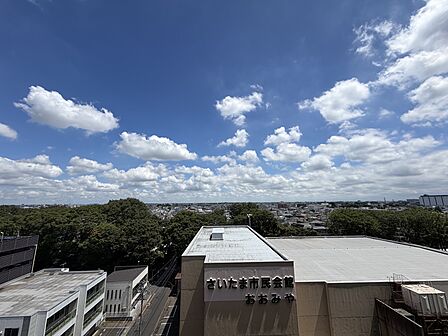 氷川参道の緑を望める眺望です