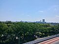 東側バルコニー...