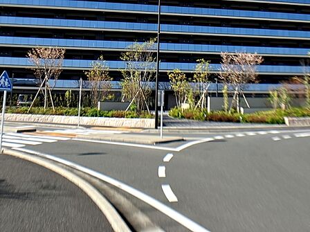 前面道路