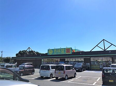 杏林堂薬局 上島駅前店(1120m)