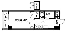 ロイヤル天神南 9階/911