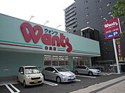 ドラックストア「ウォンツ白島店まで926ｍ」