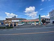 ドラックストア「ドラッグセガミ焼山店まで1317ｍ」