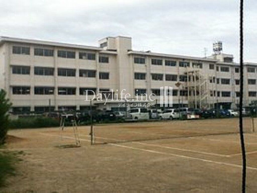 Image 10