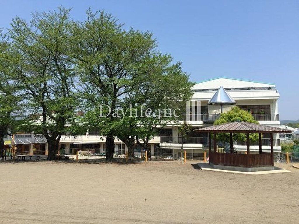 Image 11