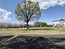 周辺：【公園】さむかわ中央公園まで1438ｍ