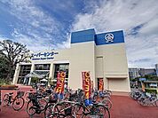 ホームセンター「綿半スーパーセンター権堂店まで835m」