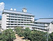 日田市役所（362m）