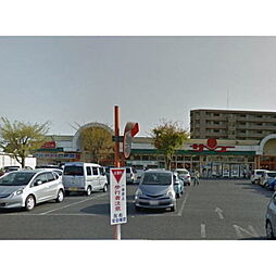 キャトルセゾン・ソレイユ