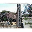 水戸市立三の丸小学校