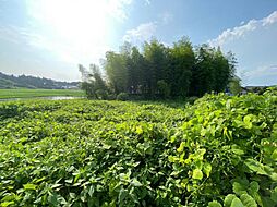 水戸市内原町　375．4坪　売地