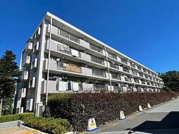 初石パーク・ホームズB棟 南東バルコ 陽当良