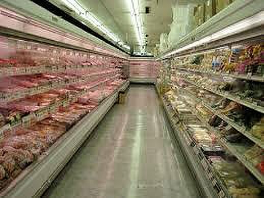 画像22:肉のハナマサ つくば店（1480m）