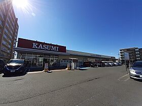 ラピスラズリ 201 ｜ 千葉県柏市船戸（賃貸マンション1R・2階・30.98㎡） その16