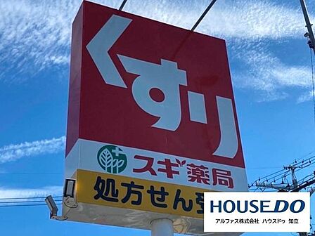 スギ薬局新林店 750m