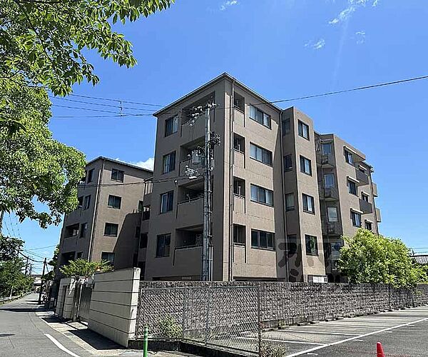 京都府京都市右京区嵯峨天龍寺中島町(賃貸マンション3LDK・2階・73.22㎡)の写真 その1