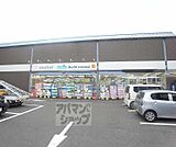 ダックス 嵯峨店まで850m